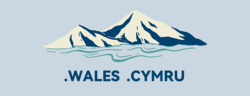 Як купити, зареєструвати та продовжити домен .cymru