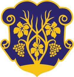 Як купити, зареєструвати та продовжити домен .uzhhorod.ua